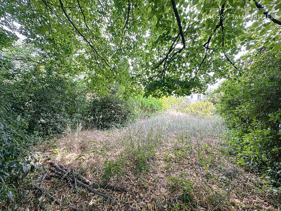 Agence immobilière de MUSSO IMMOBILIER