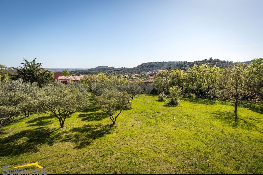 Agence immobilière de Serenidade