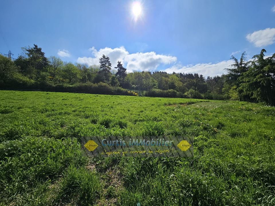 Agence immobilière de CURTIS IMMOBILIER