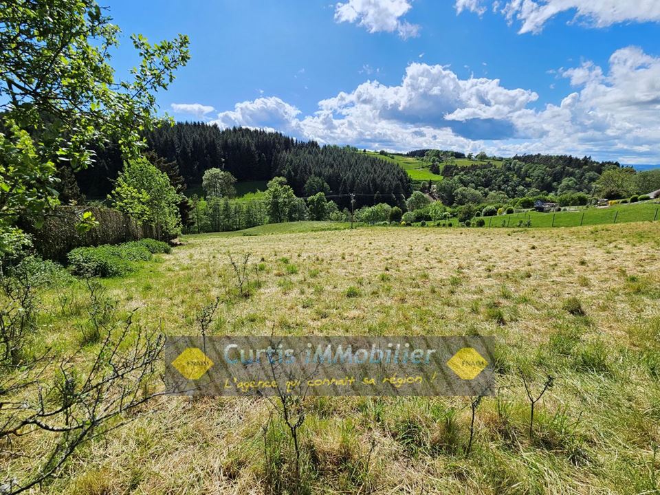 Agence immobilière de CURTIS IMMOBILIER